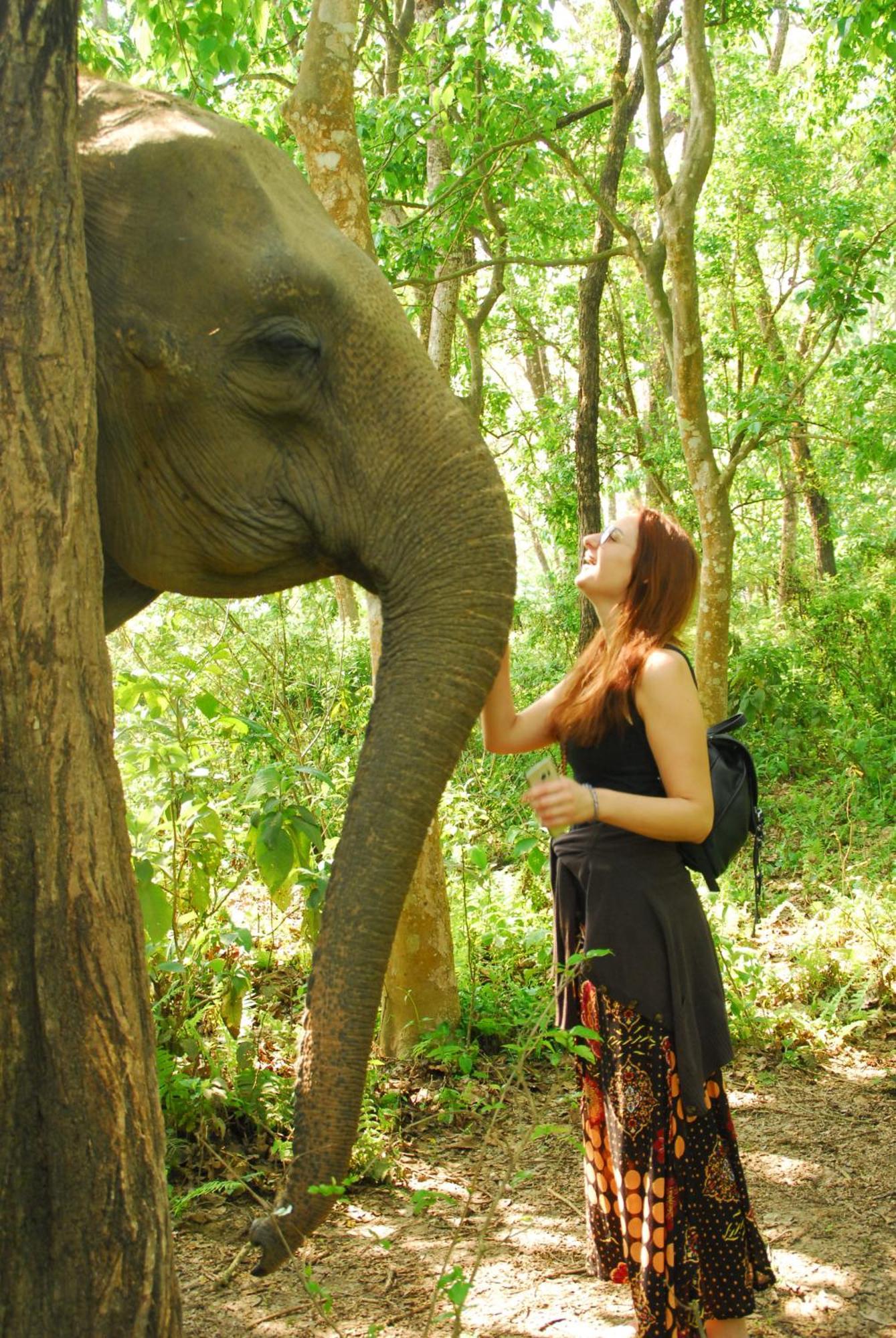 Hotel Garden Of Dreams Sauraha Eksteriør bilde