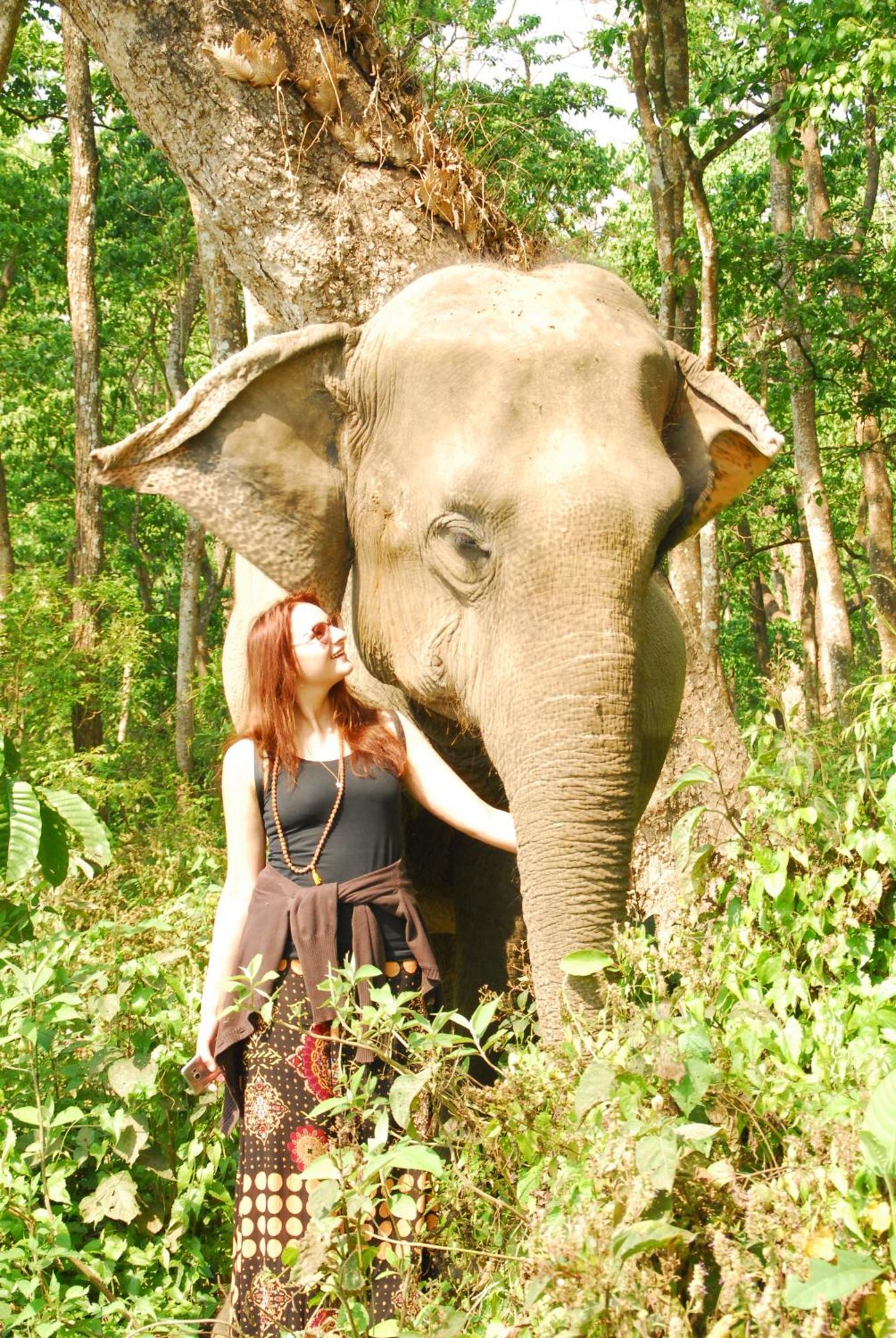 Hotel Garden Of Dreams Sauraha Eksteriør bilde